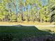 Landscaped backyard with a path and trees at 4899 Isola Ct, Wesley Chapel, FL 33543