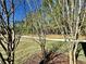 Wooded preserve landscape with pathway at 4899 Isola Ct, Wesley Chapel, FL 33543