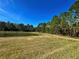 Pond and preserve landscape with walking path at 4899 Isola Ct, Wesley Chapel, FL 33543