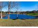 Serene backyard with pond and mature trees at 11416 Pine Forest Dr, New Port Richey, FL 34654