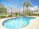 Inviting kidney-shaped pool with a screened enclosure at 18817 Chaville Rd, Lutz, FL 33558