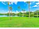 Scenic view of a tranquil lake with palm trees and lush grass at 220 Belleview Blvd # 811, Belleair, FL 33756