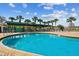 Outdoor pool area with sun loungers, tables, and palm trees, offering a relaxing community space at 30618 Tremont Dr, Wesley Chapel, FL 33543