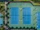 Aerial view of tennis courts, showcasing the community's recreational amenities for active residents at 30618 Tremont Dr, Wesley Chapel, FL 33543