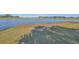 Serene lakefront view with lush green grass and palm trees at 1031 Emerald Dunes Dr, Sun City Center, FL 33573