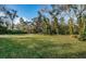 Large grassy backyard with mature trees at 118 Laurel Tree Way, Brandon, FL 33511