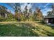 Spacious backyard with lush landscaping at 118 Laurel Tree Way, Brandon, FL 33511
