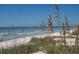 Beachfront view with sea oats and calm ocean waves at 2700 Bayshore Blvd # 11301, Dunedin, FL 34698