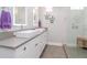 Modern bathroom with double sinks and a large shower at 2920 W Trilby Ave, Tampa, FL 33611