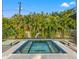 Modern rectangular pool with spa and surrounding landscaping at 730 W Alda Ne Way, St Petersburg, FL 33704
