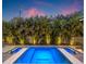 Illuminated pool and spa at dusk, surrounded by lush landscaping at 730 W Alda Ne Way, St Petersburg, FL 33704