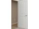 White door with two panels at 12312 Bay Estuary Bnd, Riverview, FL 33579