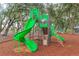 playground with green slide at 12312 Bay Estuary Bnd, Riverview, FL 33579