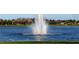 Water fountain in a lake with houses in the background at 15724 Aurora Lake Cir, Wimauma, FL 33598
