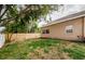 Landscaped backyard with a large tree and wood fence at 1833 Hillcrest St, Tarpon Springs, FL 34689