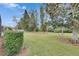 Large backyard with lush green grass and trees at 205 Silver Falls Dr, Apollo Beach, FL 33572