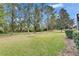 Landscaped backyard with lush lawn and mature trees at 205 Silver Falls Dr, Apollo Beach, FL 33572