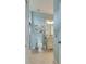 Light and airy bathroom with toilet, vanity, and a walk-in shower at 205 Silver Falls Dr, Apollo Beach, FL 33572