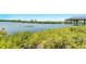 Peaceful waterfront view with lush greenery at 1024 Sonata Ln, Apollo Beach, FL 33572