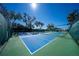 Two well-maintained blue pickleball courts at 11440 Baronwood Ct, Hudson, FL 34667