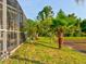 Landscaped backyard with tropical plants and screened pool area at 12211 Oak Ramble Dr, Spring Hill, FL 34610