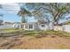 Spacious backyard with large grassy area and mature trees at 13214 Moran Dr, Tampa, FL 33618