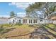 Home features a large backyard with mature trees at 13214 Moran Dr, Tampa, FL 33618