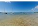 Clear waterfront view with boats on calm water at 2700 Bayshore Blvd # 11302, Dunedin, FL 34698