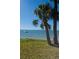 Peaceful waterfront view with palm trees at 2700 Bayshore Blvd # 4309, Dunedin, FL 34698
