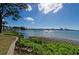 Scenic waterfront view with boats and lush greenery at 2700 Bayshore Blvd # 4309, Dunedin, FL 34698