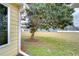 Side yard view with a mature tree and a glimpse of a neighboring house at 37347 Derbyshire Dr, Zephyrhills, FL 33542