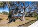 Large backyard with oak trees and pond view at 13987 Weddington Ter, Hudson, FL 34669