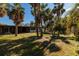 Spacious backyard with lush green grass and towering mature palm trees at 3110 W De Bazan Ave, St Pete Beach, FL 33706