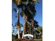 An attractive view of Lazarillo Park with blue skies and mature palm trees at 3110 W De Bazan Ave, St Pete Beach, FL 33706