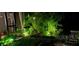 Landscaped backyard at night with lighting at 32857 Brooks Hawk Ln, Wesley Chapel, FL 33543
