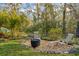 Landscaped backyard with fire pit and seating area, perfect for entertaining at 32857 Brooks Hawk Ln, Wesley Chapel, FL 33543