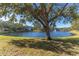 Serene lake view with lush landscaping and mature trees at 3300 Haviland Ct # 303, Palm Harbor, FL 34684