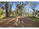 Wooded backyard area with palm trees at 405 Chastain Rd, Seffner, FL 33584