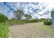 Landscaped backyard with a hedge providing privacy at 6112 Plover Meadow St, Lithia, FL 33547