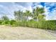 Expansive grassy yard with lush landscaping and tropical plants at 6112 Plover Meadow St, Lithia, FL 33547