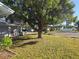 Landscaped yard with large tree and neighborhood view at 7711 Innis Ct, St Petersburg, FL 33709