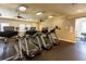 Well-equipped fitness center with treadmills and other exercise machines at 30509 Pecan Valley Loop, Wesley Chapel, FL 33543