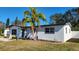 Single story house with a palm tree and updated windows at 4119 Harrisburg Ne St, St Petersburg, FL 33703
