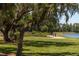 Couple jogging on a scenic lakeside trail at 4275 Burdick Loop, Odessa, FL 33556