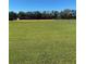 View of a well-maintained baseball field with green grass and a clay infield at 6811 S Hesperides St, Tampa, FL 33616