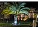 Landscaped yard with palm tree illuminated at night at 10880 Cory Lake Dr, Tampa, FL 33647