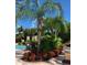 Relaxing pool area with lush landscaping and comfortable seating at 10880 Cory Lake Dr, Tampa, FL 33647