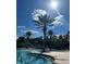 Stunning resort-style pool with palm trees and water features at 10880 Cory Lake Dr, Tampa, FL 33647