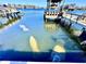 Manatees seen from a dock in a calm waterway at 136 26Th Ne Ave, St Petersburg, FL 33704