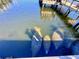 Three manatees swim in calm water near a dock at 136 26Th Ne Ave, St Petersburg, FL 33704